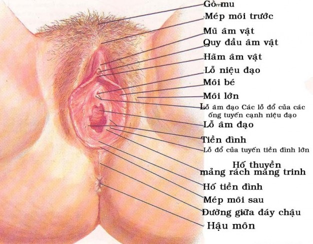 Ảnh Màng Trinh Con Gái | Kho Ảnh Màng Trinh đẹp nhất | Xem Ảnh Sex Màng Trinh