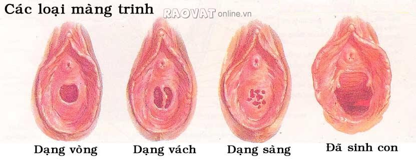 Ảnh Màng Trinh Con Gái | Kho Ảnh Màng Trinh đẹp nhất | Xem Ảnh Sex Màng Trinh