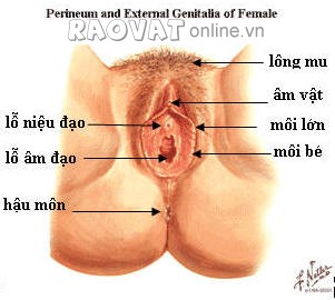 Ảnh Màng Trinh Con Gái | Kho Ảnh Màng Trinh đẹp nhất | Xem Ảnh Sex Màng Trinh